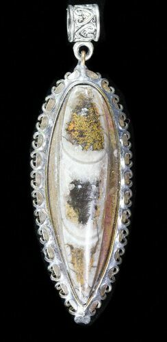 Fossil Orthoceras Pendant #46943